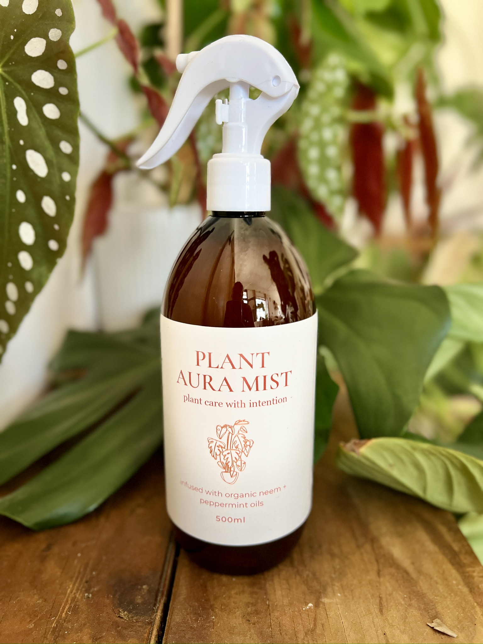 Plant Aura Mist Duo - Image 3